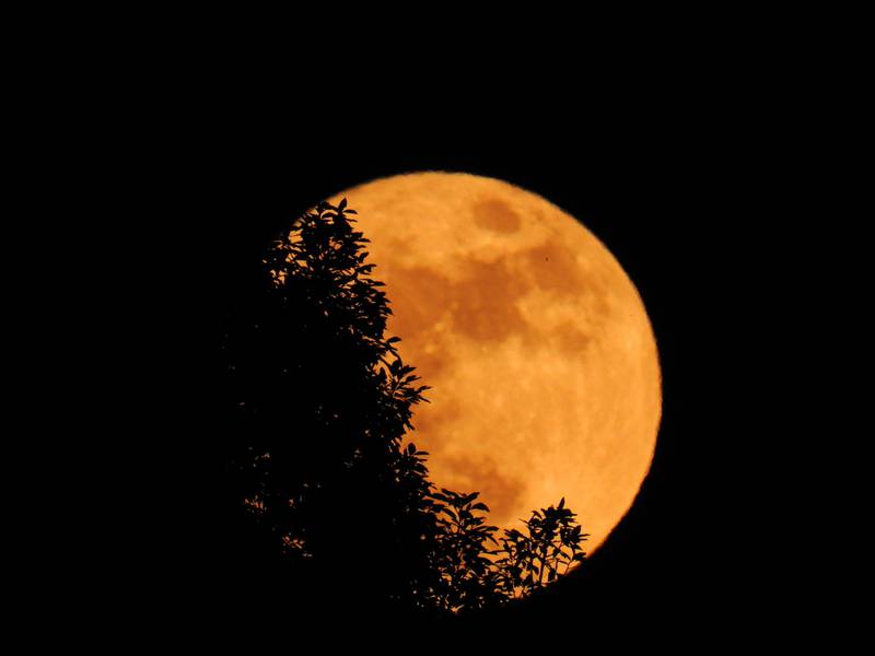 ¿Qué es la luna de la cosecha que veremos la noche de este lunes?