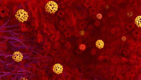 En las últimas 72 horas 534 contagios y 28 muertes por coronavirus
