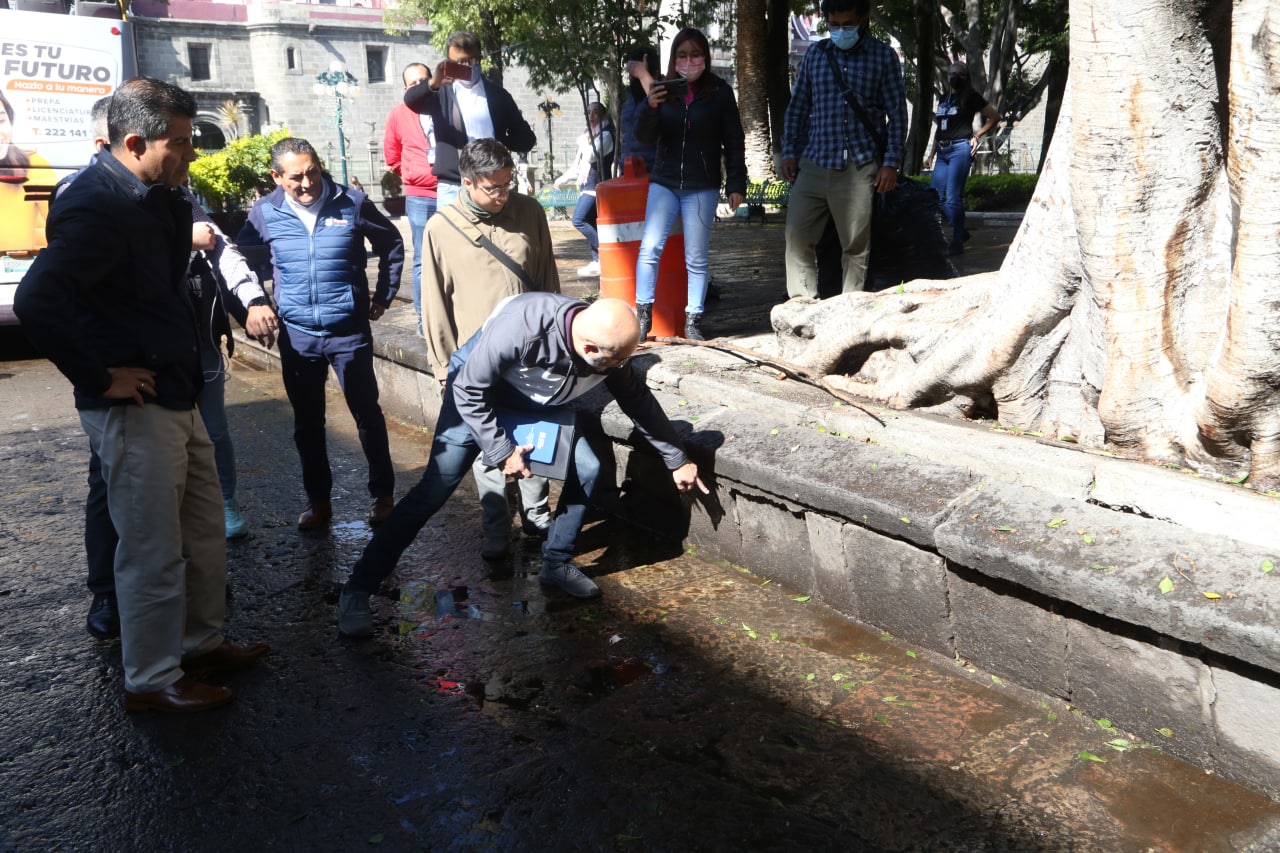 Retirarán cinco árboles del zócalo de Puebla afectados por las lluvias  y vientos