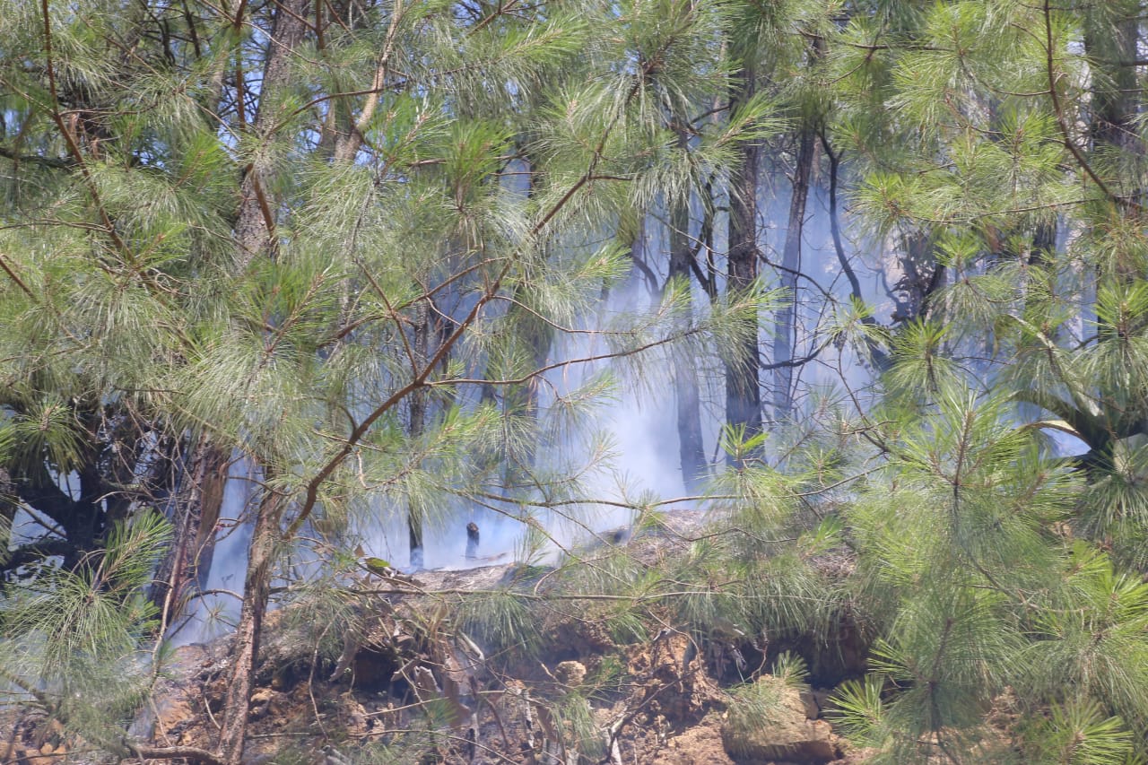 Afectadas 750 hectáreas y 14 viviendas por incendio forestal en Zacatlán