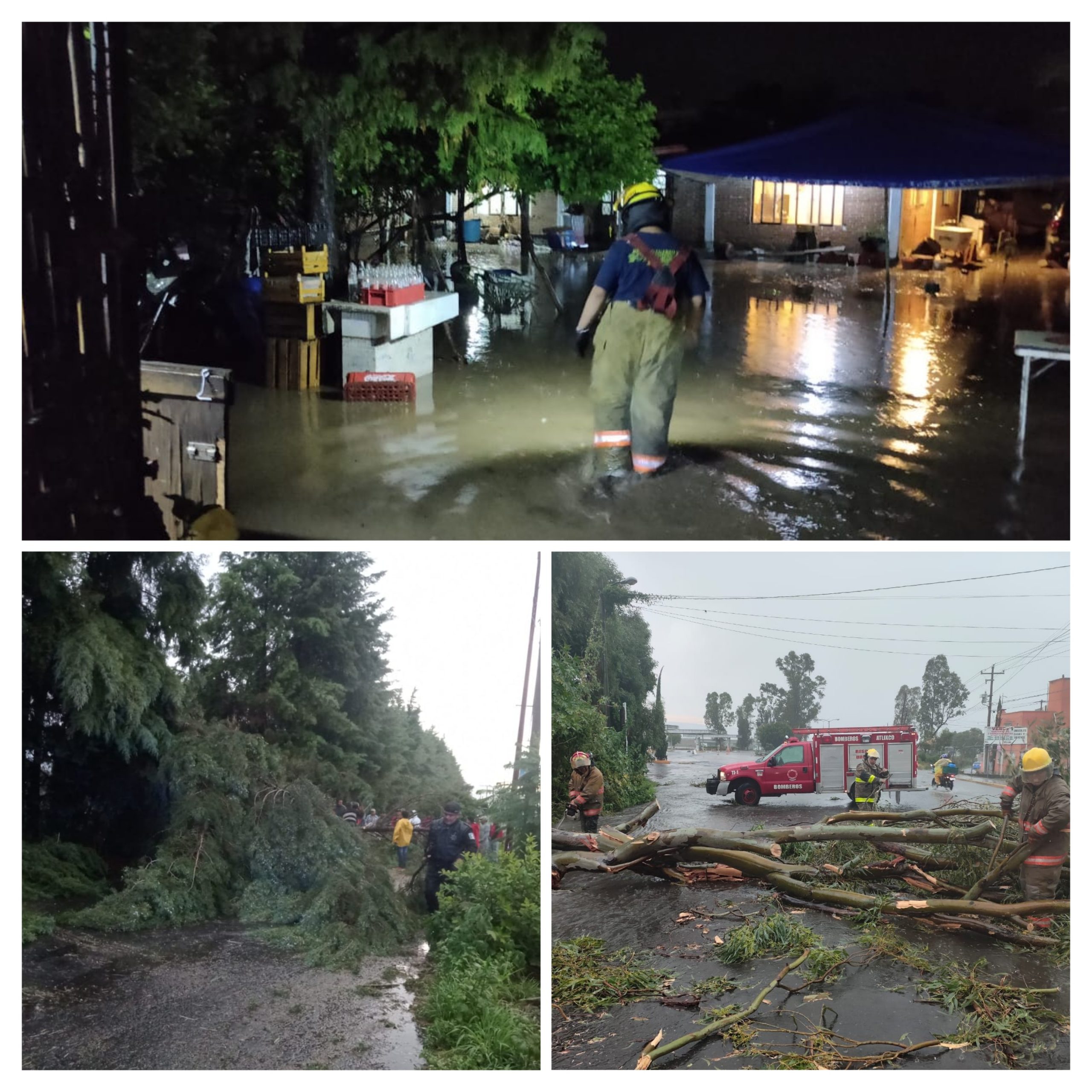 Seguridad pública de Atlixco atiende diferentes eventos por causa de fuertes vientos y lluvias