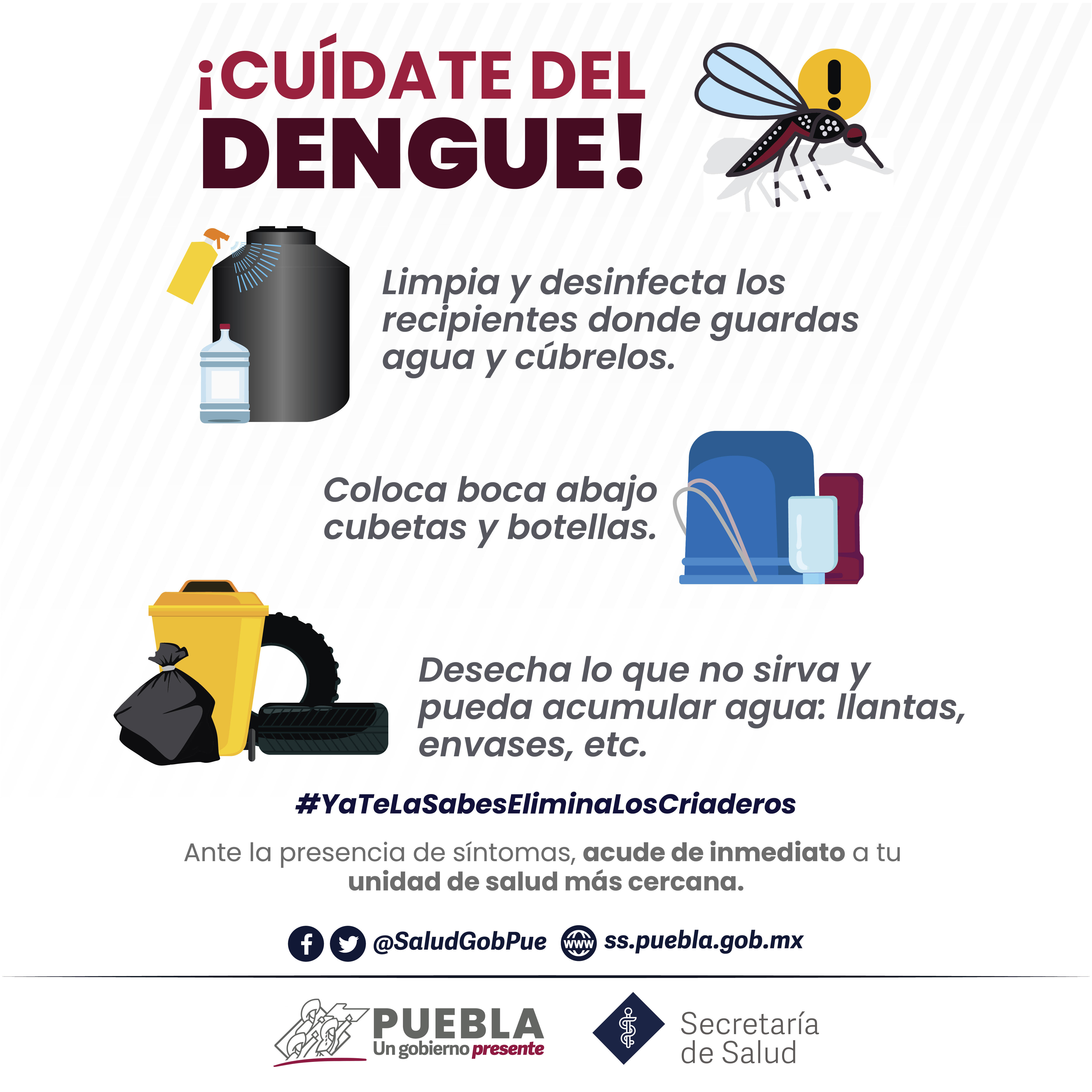 Descarta Salud hospitalizados y defunciones por dengue