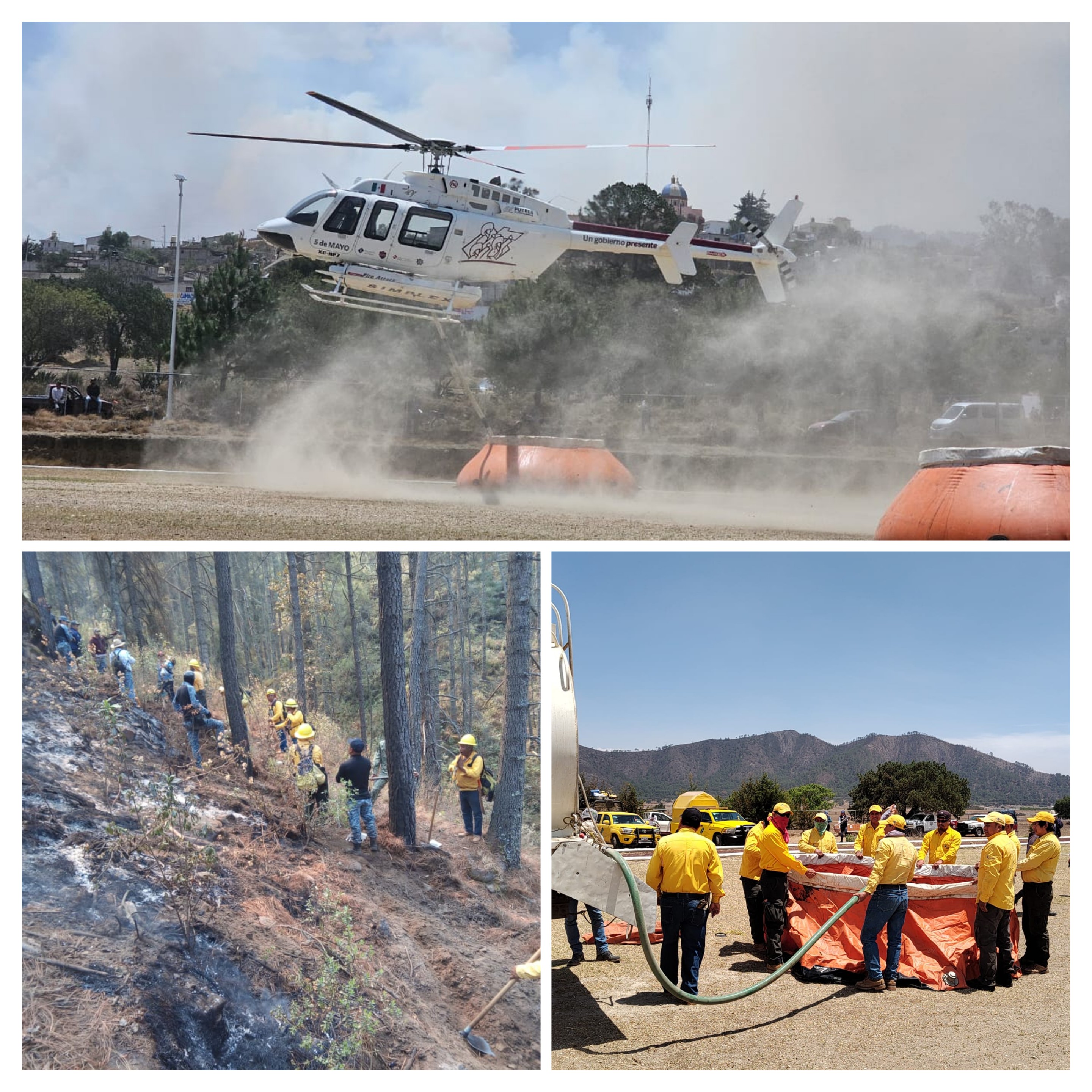 Controlan incendio forestal en Rancho Viejo en Libres