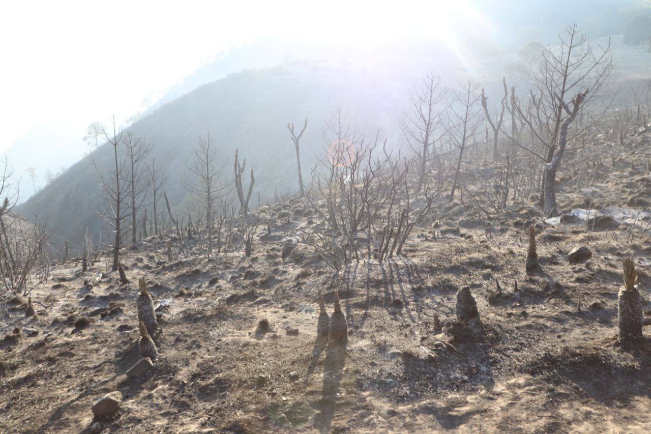 Controlan incendio forestal en Libres que dañó 120 hectáreas
