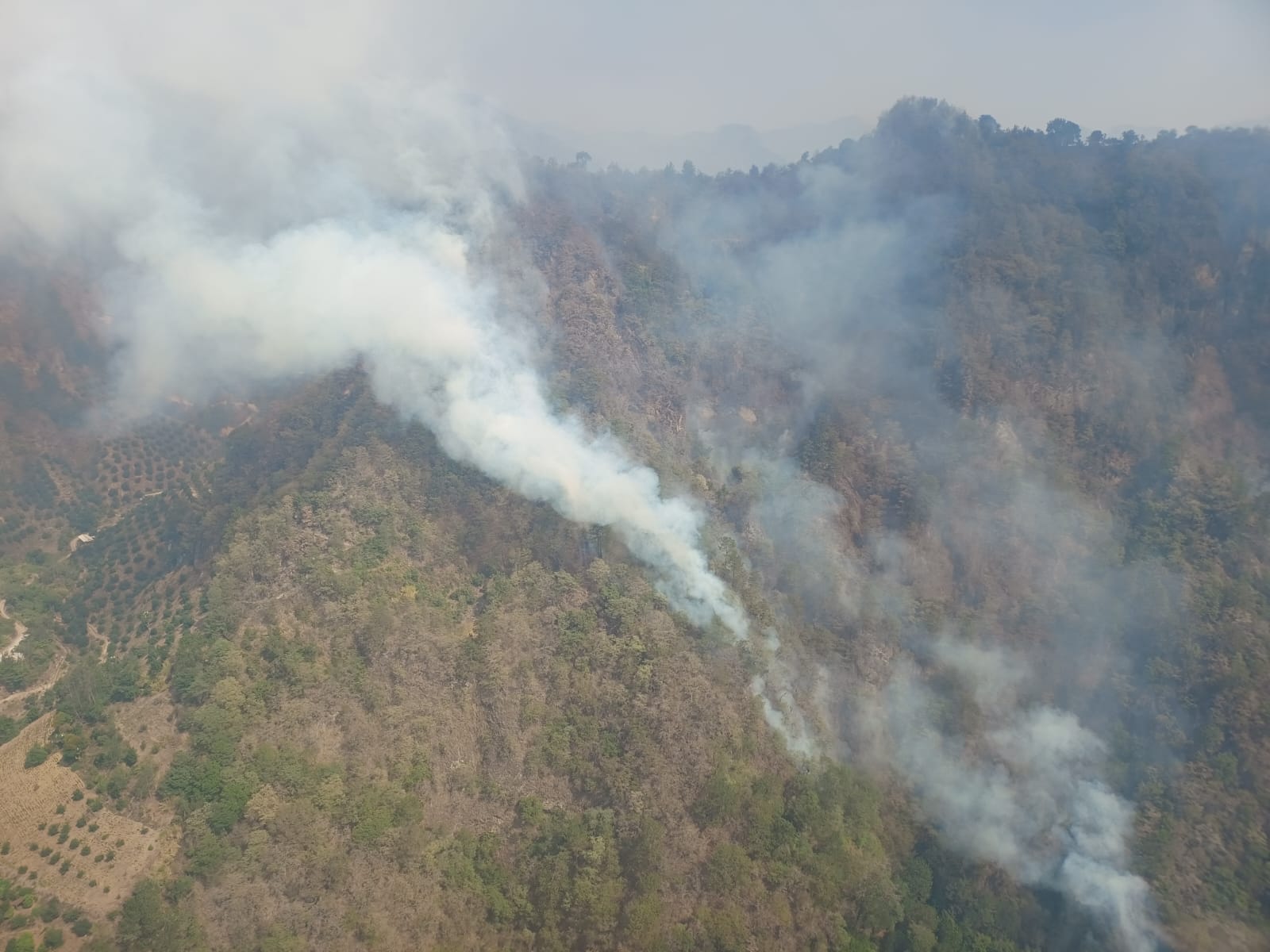 Reporta Medio Ambiente 14 incendios en un solo día