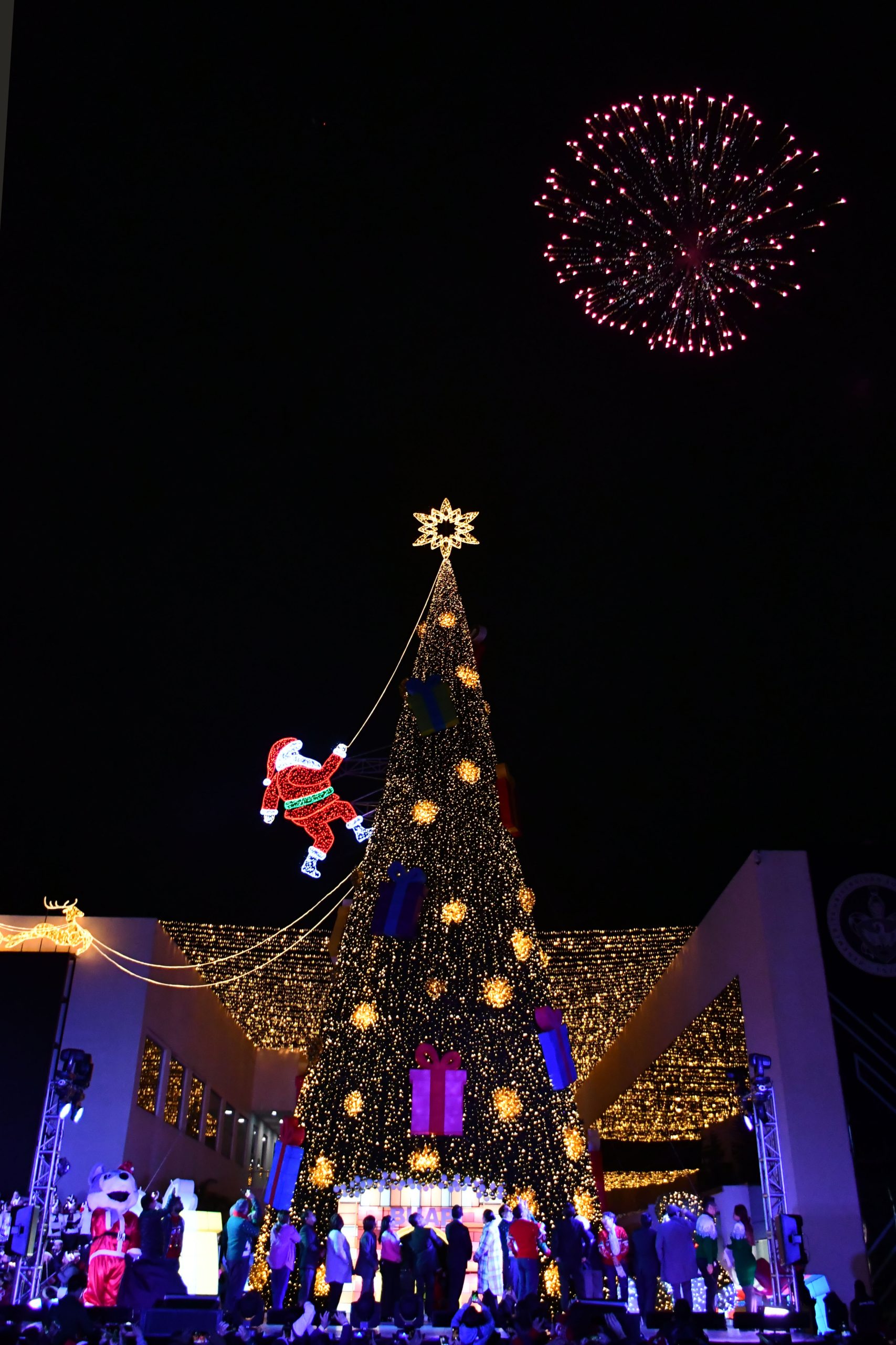 La Rectora Lilia Cedillo Ramírez enciende el tradicional Árbol de Navidad en el CCU