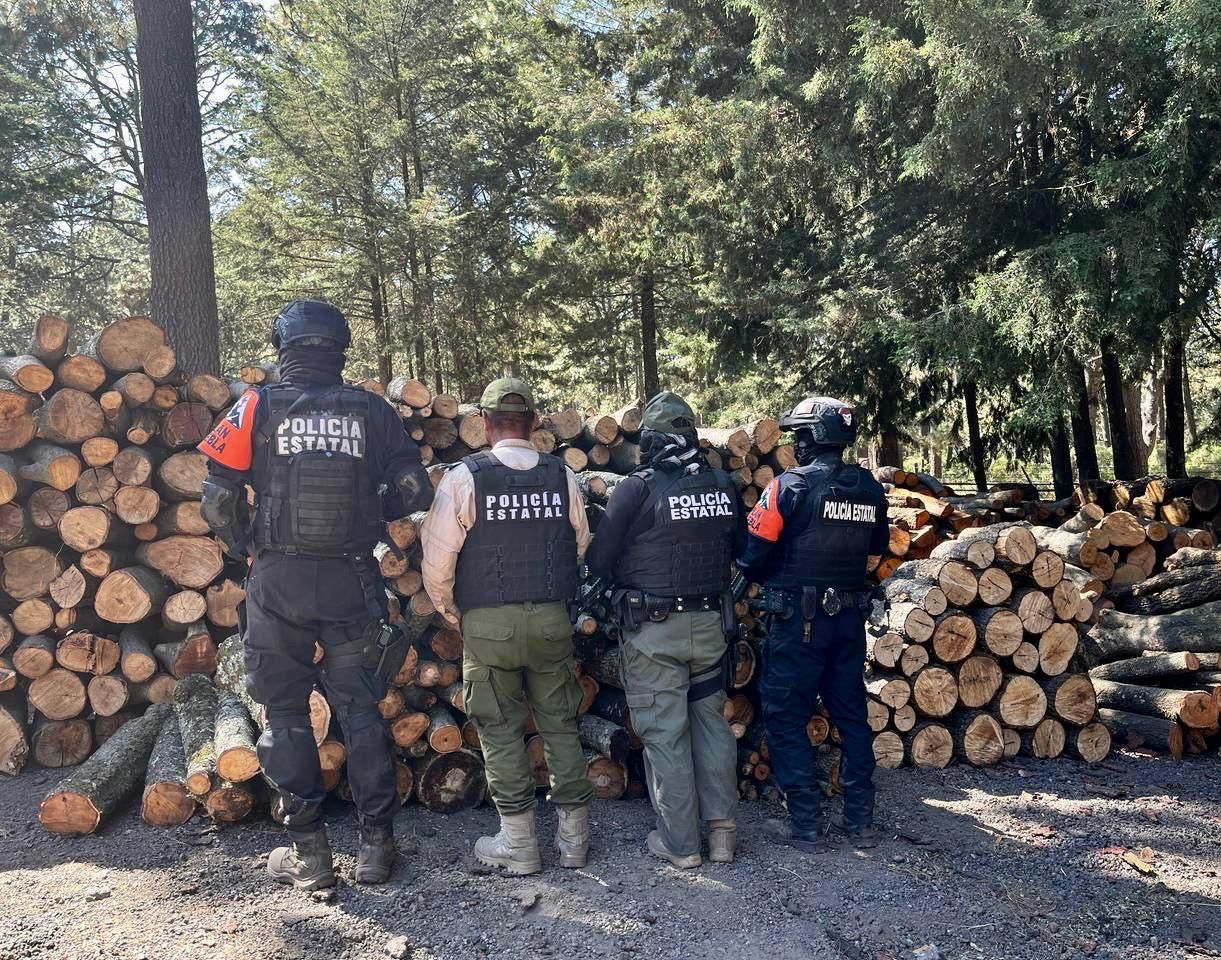 Puebla y Tlaxcala aseguran más de 200 troncos de madera ilegal en La Malinche