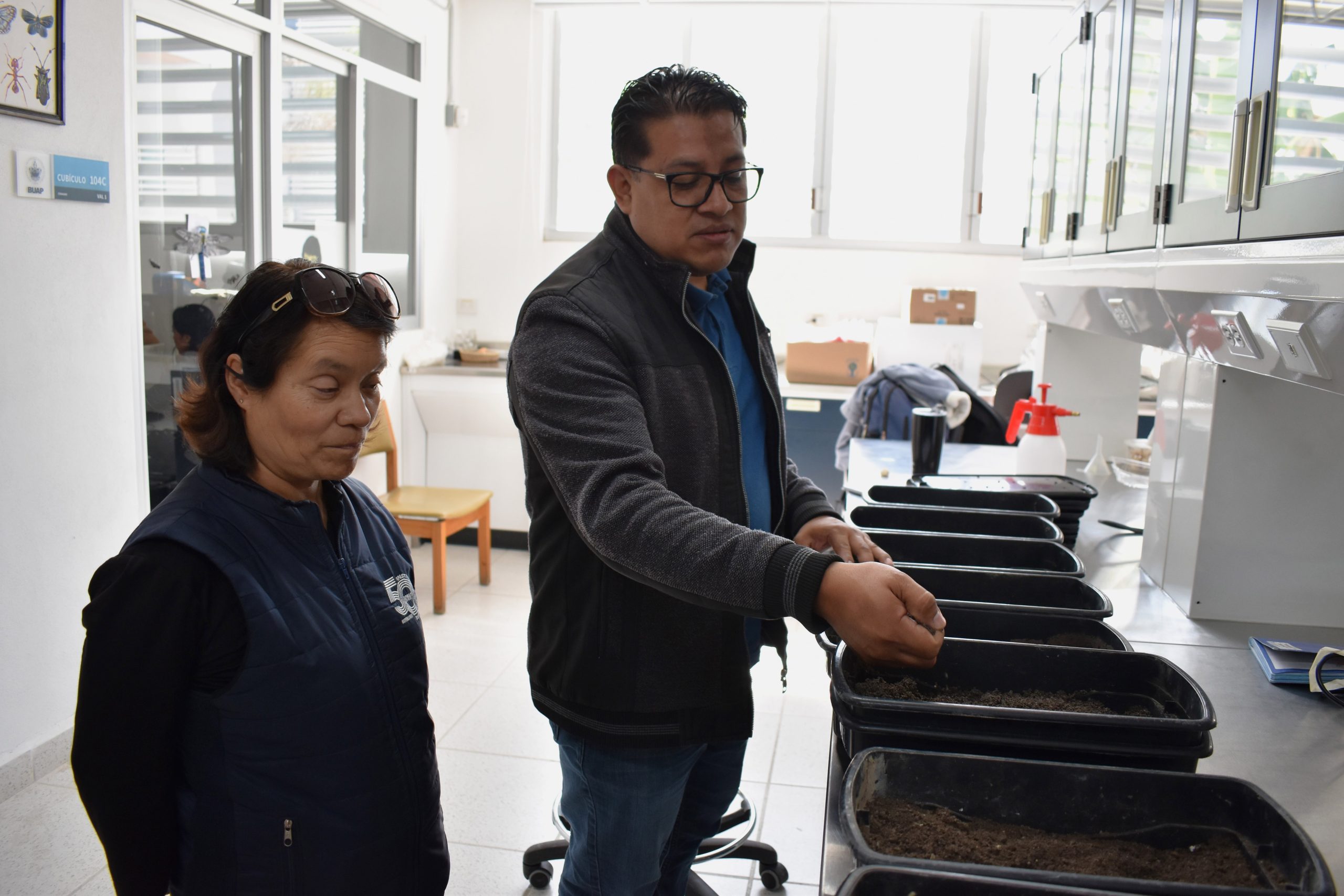 Investigadora del ICUAP estudia el comportamiento biológico de la plaga conocida como “gallina ciega” para su control