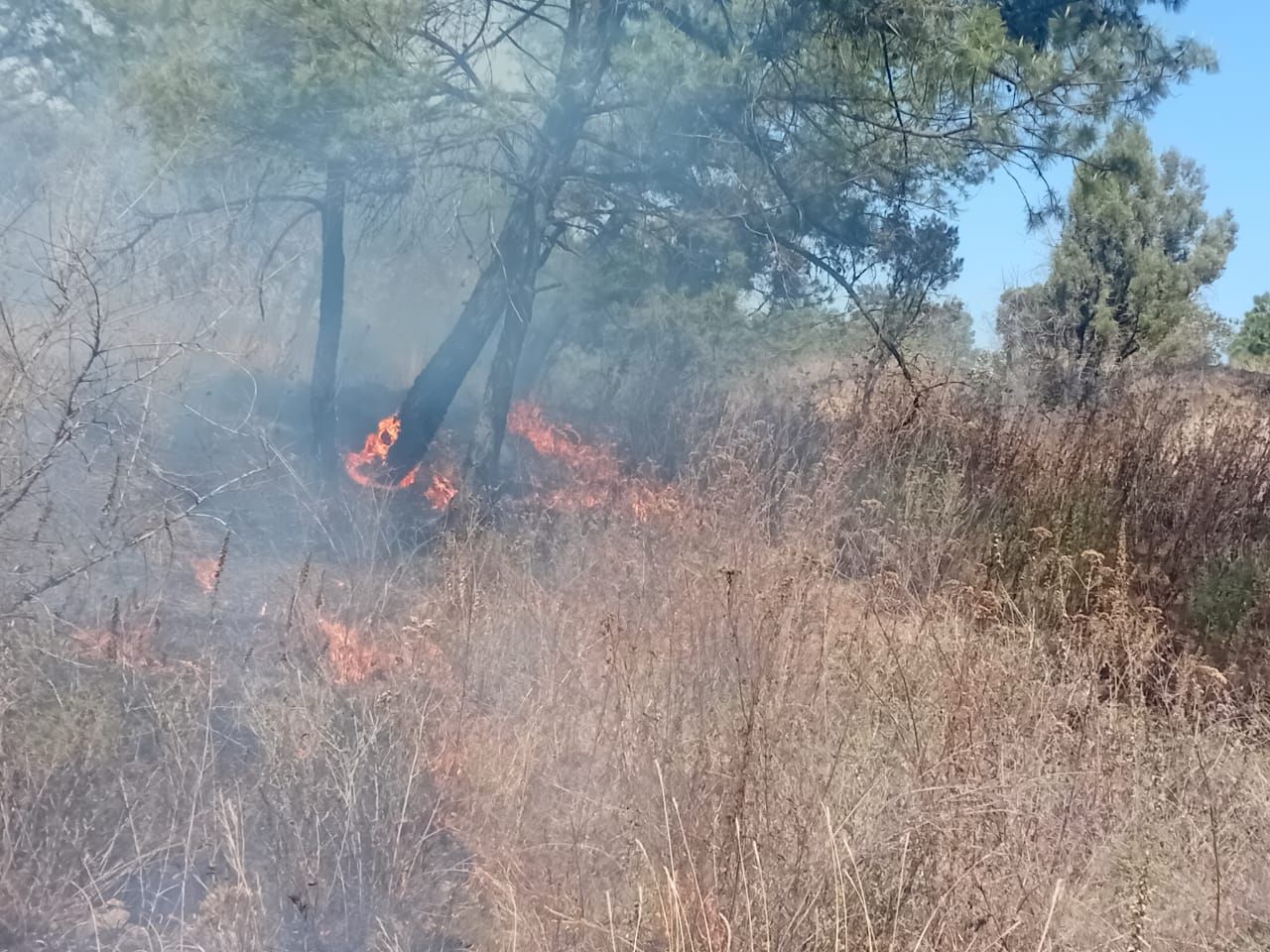 Gobierno y Fiscalía General actuarán con todo rigor contra quienes provoquen incendios