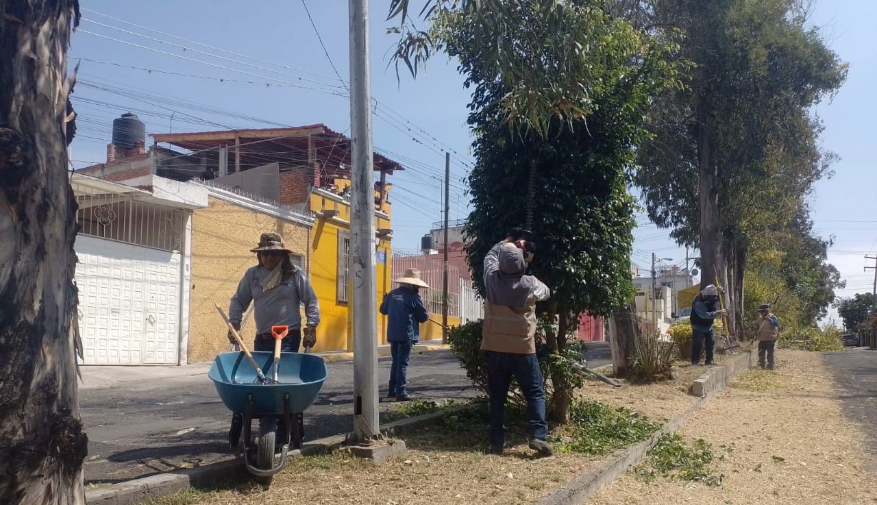 Realiza Gobierno de la Ciudad labores de mantenimiento y limpieza en colonias de la ciudad