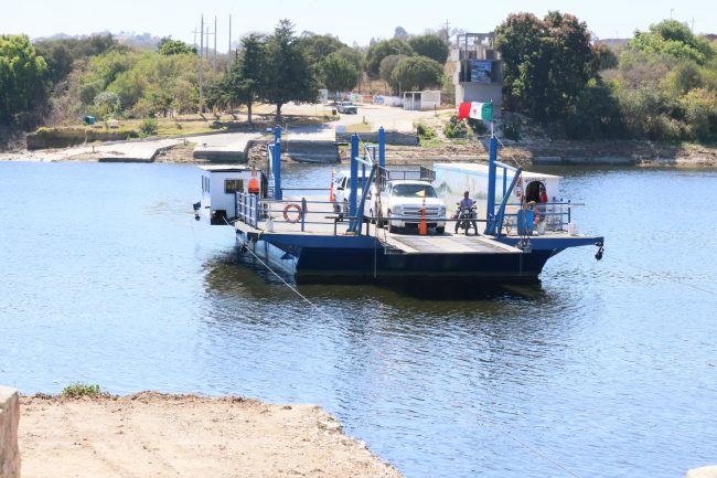 Fertipue: proyecto innovador que transformará el lirio del Lago de Valsequillo