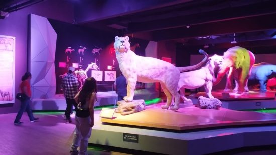Turistas nacionales y extranjeros recorren espacios museísticos en Puebla