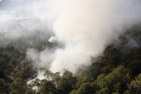 Sofocados 172 incendios forestales y detenidos dos presuntos ecocidas