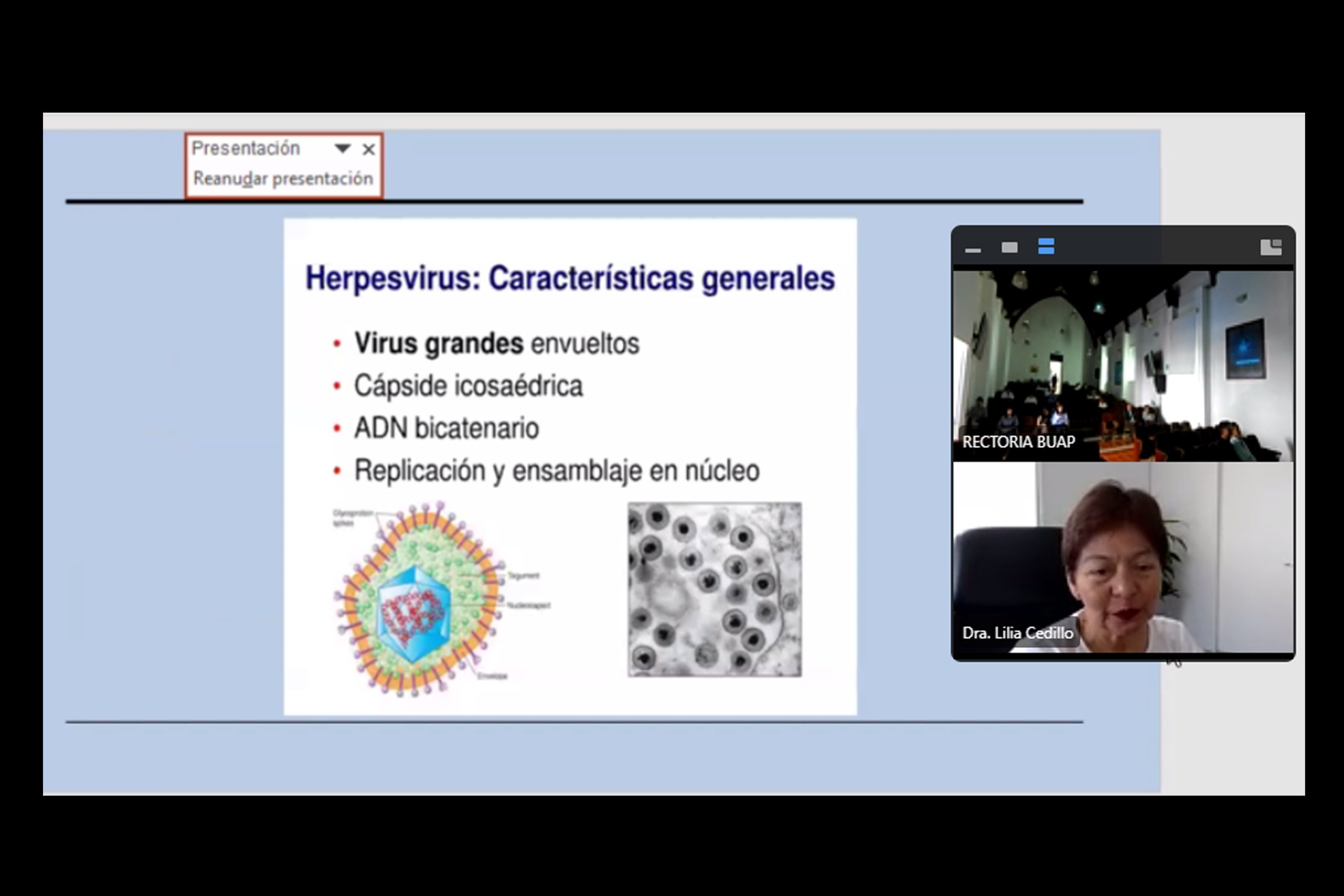 Las enfermedades infecciosas, un problema recurrente en el país Las enfermedades infecciosas, un problema recurrente en el país