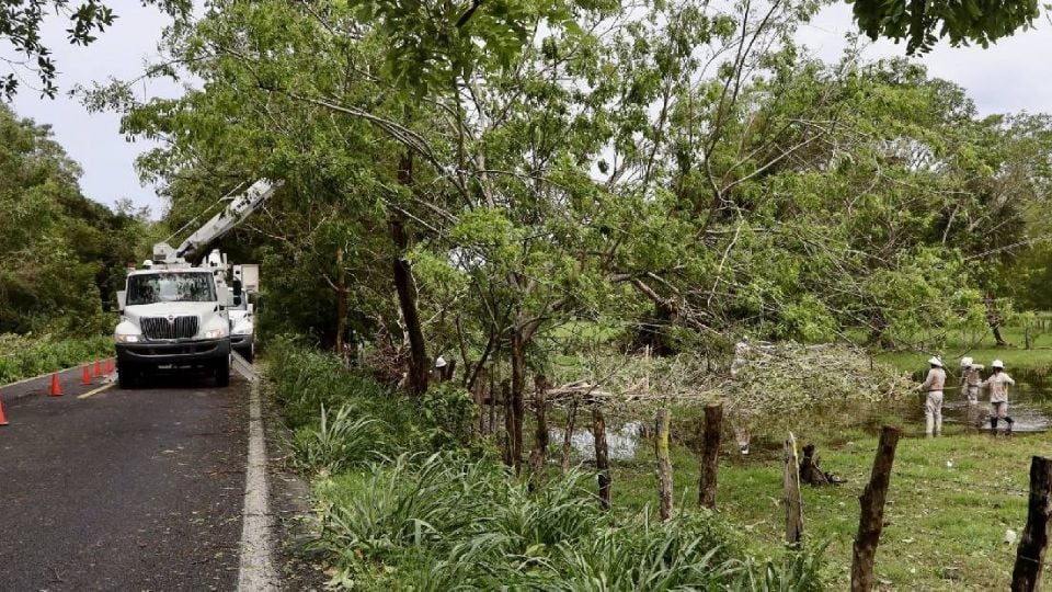«Erick» se degrada, pero deja fuertes lluvias en el sur de México «Erick» se degrada, pero deja fuertes lluvias en el sur de México