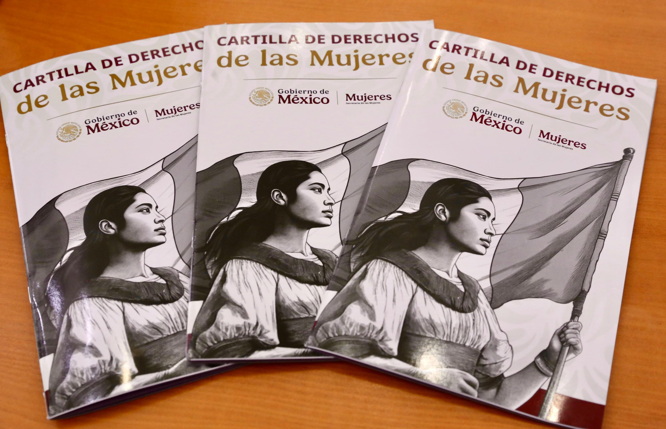 Resultado de la confianza: aumenta 73% las denuncias en delitos de mujeres violentadas