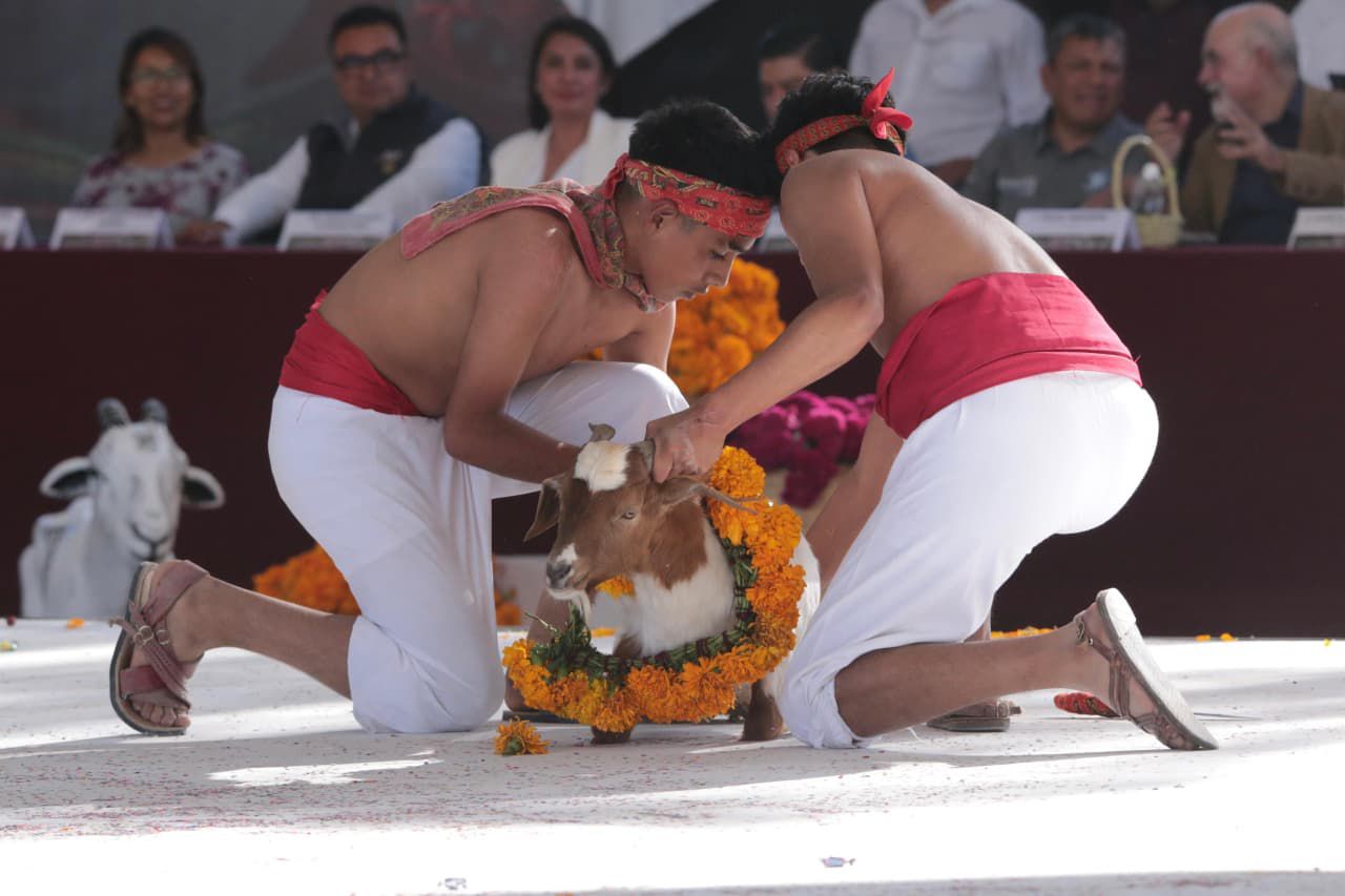 Inicia Temporada de Mole de Caderas, símbolo de identidad y patrimonio gastronómico Inicia Temporada de Mole de Caderas, símbolo de identidad y patrimonio gastronómico