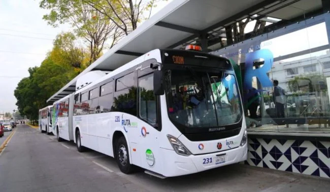 Gobierno estatal combate al cártel de las concesiones Gobierno estatal combate al cártel de las concesiones