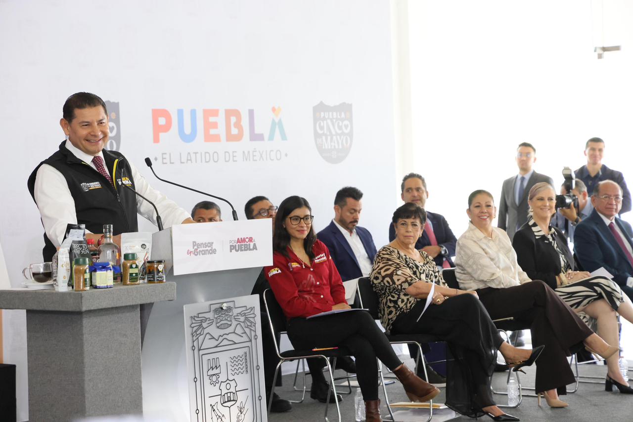 Vigilará Consejo Interinstitucional entrega de concesiones de transporte