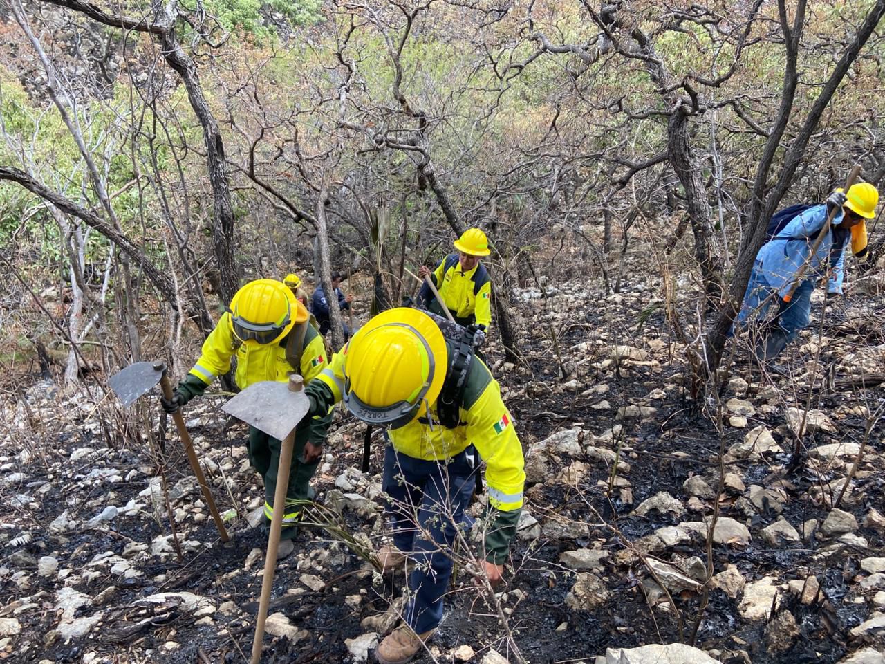Sofocan incendio forestal en Cohetzala sin daño a la población