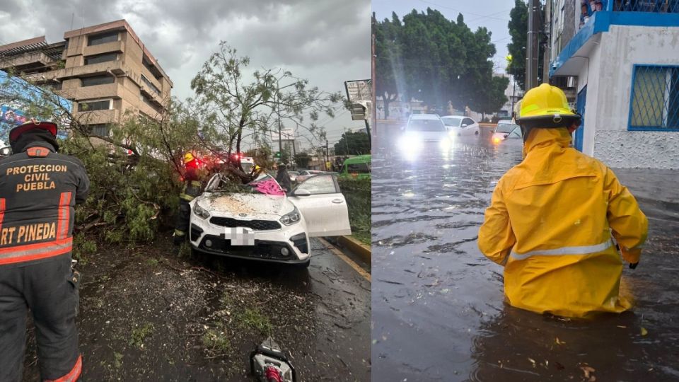 Tromba en Puebla deja una persona muerta, inundaciones, caída de árboles y ciudadanos varados