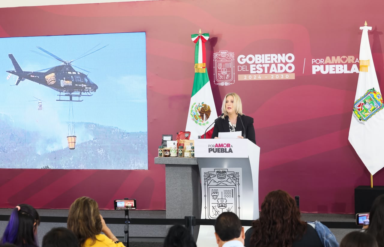 Reduce gobierno estatal 55% de la superficie afectada por incendios forestales