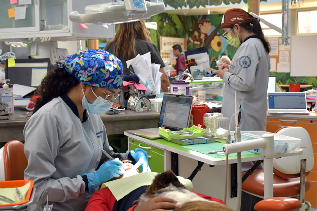 Proporciona BUAP tratamiento dental especializado a menores de edad Proporciona BUAP tratamiento dental especializado a menores de edad